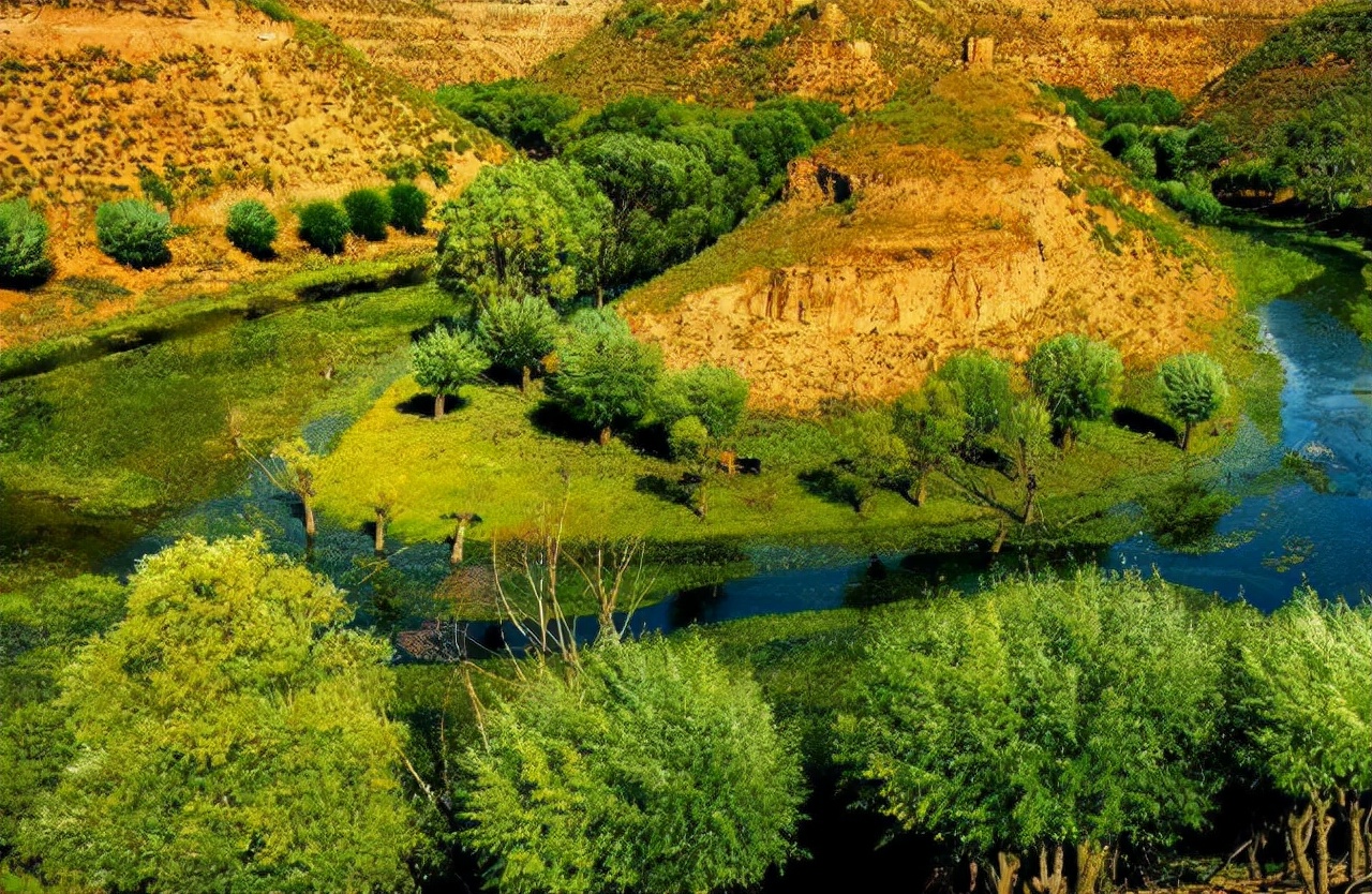 还有谁不服？中国治理沙漠，种出8个<a href=