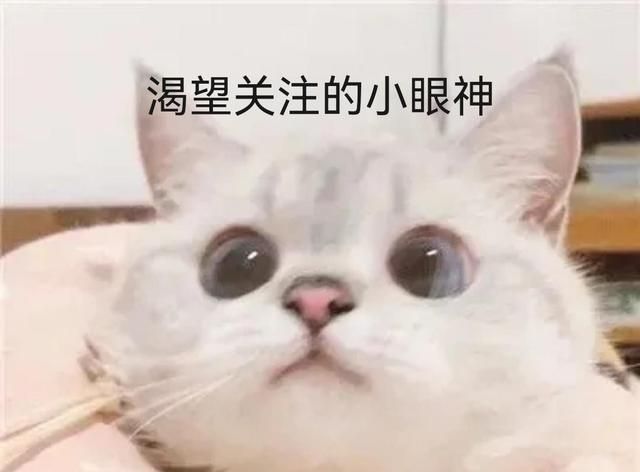 GirlsPlanet999决赛来了!排名太离谱,国际女团,却几乎是<a href=