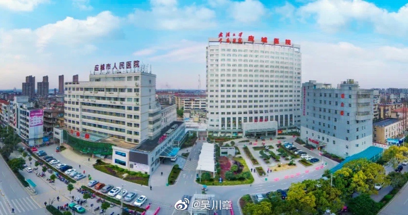 全国名医院排行榜_广东10强医院排名:广州排名靠前,第一实至名归!