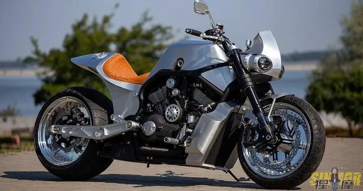 哈雷戴维森 V-Rod定制作品 天翻地覆的变化 独特造型引人注目