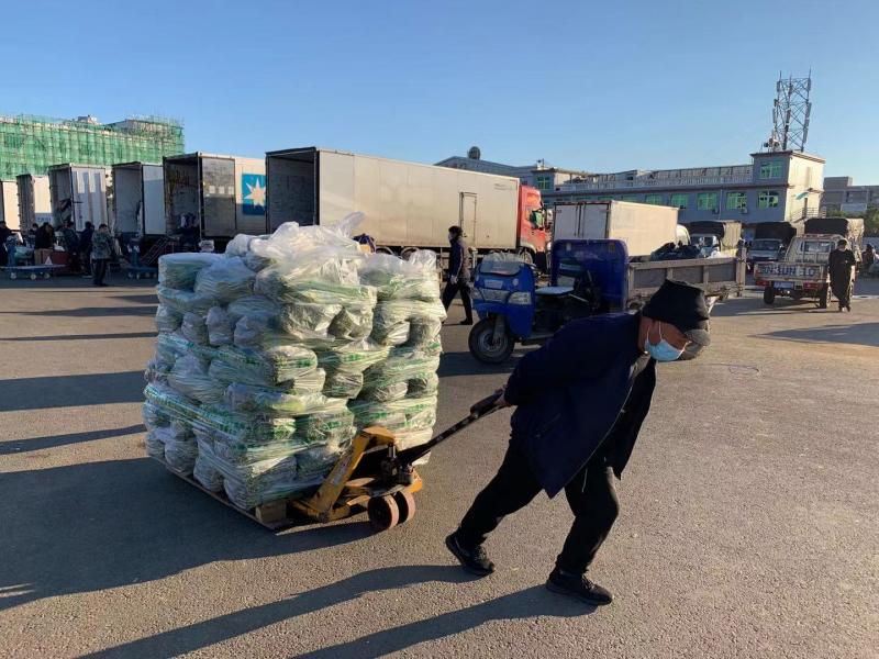 近期降雨导致蔬菜价格上涨 南菜北运有望缓解行情休闲区蓝鸢梦想 - Www.slyday.coM 近期降雨导致蔬菜价格上涨 南菜北运有望缓解行情休闲区蓝鸢梦想 - Www.slyday.coM