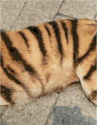 32张笑死人的照片,看到第一张就被惊呆了!发给大家乐一乐~休闲区蓝鸢梦想 - Www.slyday.coM 32张笑死人的照片,看到第一张就被惊呆了!发给大家乐一乐~休闲区蓝鸢梦想 - Www.slyday.coM