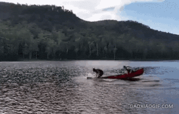 32张笑死人的照片,看到第一张就被惊呆了!发给大家乐一乐~休闲区蓝鸢梦想 - Www.slyday.coM 32张笑死人的照片,看到第一张就被惊呆了!发给大家乐一乐~休闲区蓝鸢梦想 - Www.slyday.coM