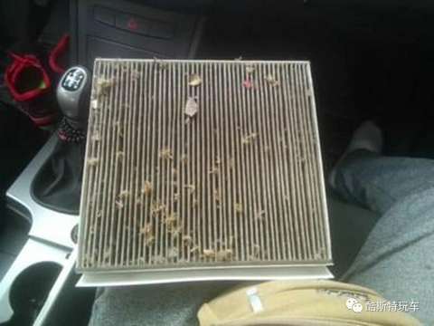 汽车空调不制冷，懂得养护就很简单，别再花冤枉钱