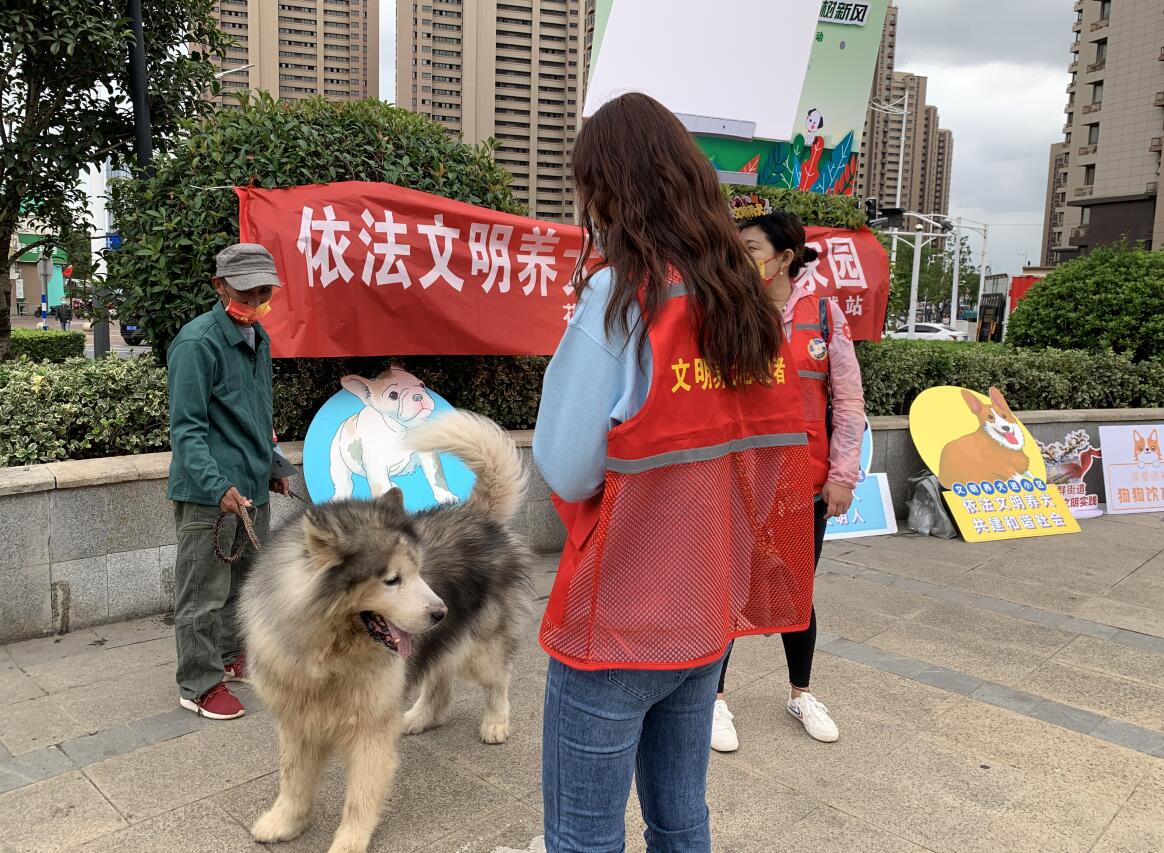 花岗社区开展"岗为先"志愿引领文明养犬进小区活动