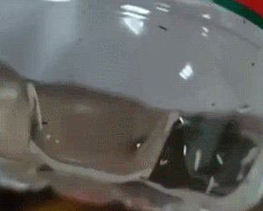 未开封的瓶装水现大量蛆虫?农夫山泉:绝不可能,已报警休闲区蓝鸢梦想 - Www.slyday.coM 未开封的瓶装水现大量蛆虫?农夫山泉:绝不可能,已报警休闲区蓝鸢梦想 - Www.slyday.coM