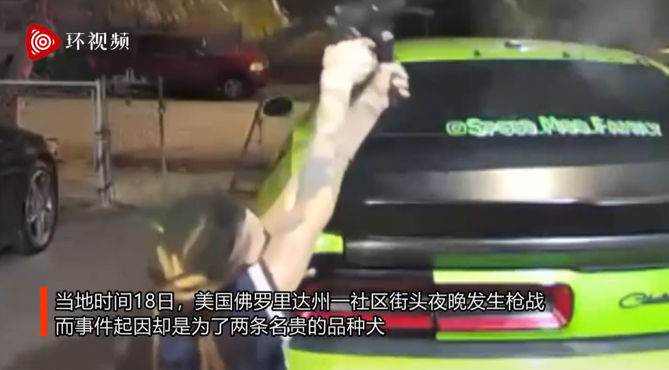美国女子持枪疯狂扫射!因为两条狗