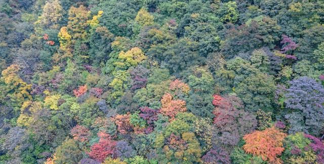 四川赏红叶好去处,拥有不输<a href=