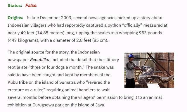 最大的蛇到底有多大？<a href=