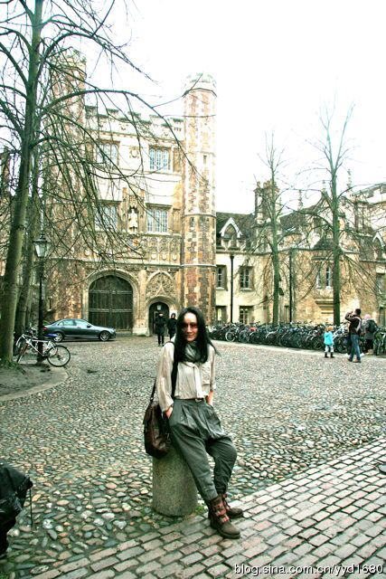 行走、剑桥学院、习俗、做派、苹果树(203)