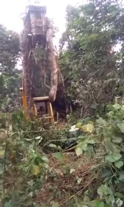 最大的蛇到底有多大?<a href=