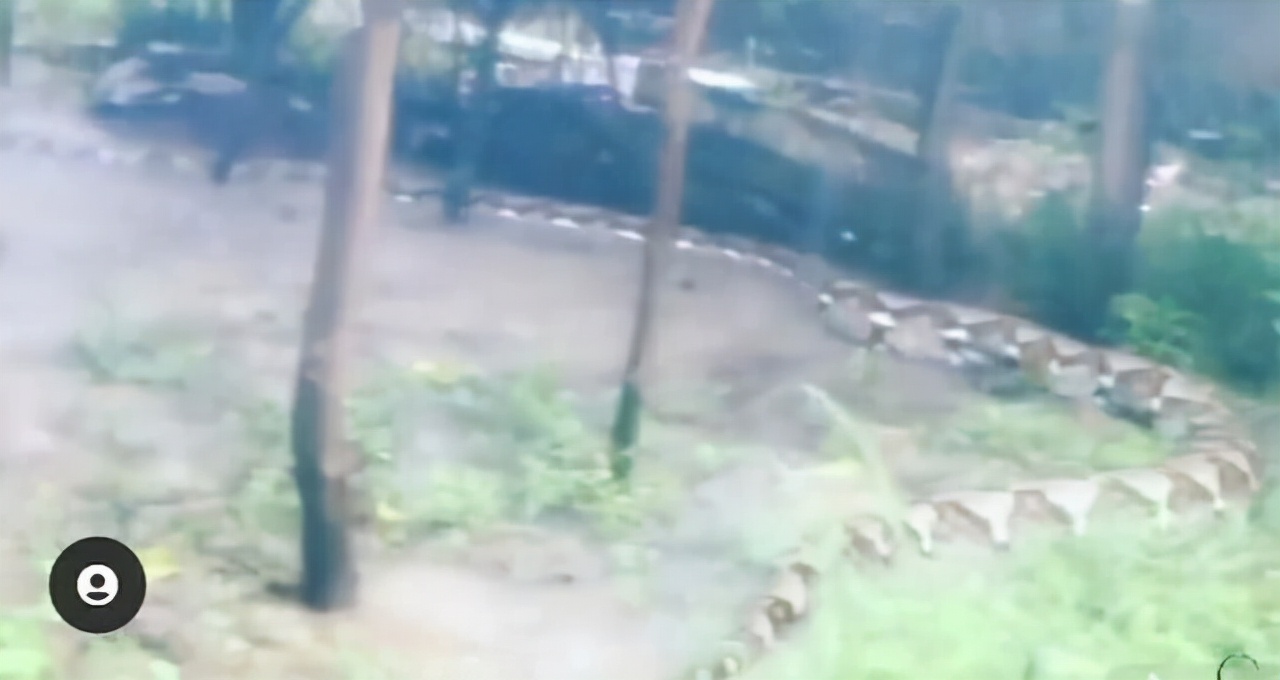 最大的蛇到底有多大?<a href=