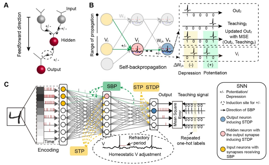 科学实验原理大揭秘 8690-79db10638f96d9a4399700aff81a3e81.png