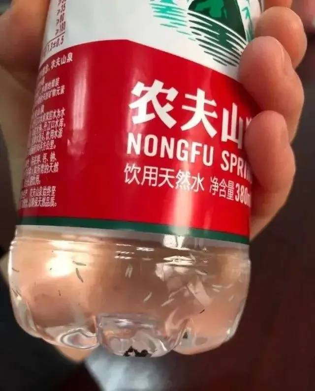 未开封农夫山泉瓶装水里惊现大量蛆虫!官方回应:绝不可能,已报警休闲区蓝鸢梦想 - Www.slyday.coM 未开封农夫山泉瓶装水里惊现大量蛆虫!官方回应:绝不可能,已报警休闲区蓝鸢梦想 - Www.slyday.coM