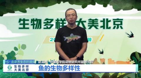 北京有多少种野生鱼？环保云科普为您分析解读