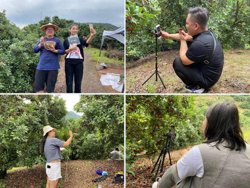 农村电商成为乡村振兴新引擎 成为共同富裕排头兵