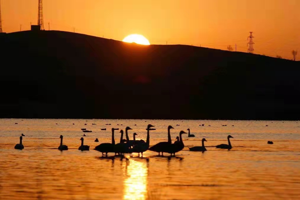 自由飞翔的天地 824f-6762e8a1e45c1c72b97bc4af28ff6fd6.jpg