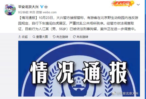 与11只白虎对峙的游客被刑拘!野生动物园通报细节休闲区蓝鸢梦想 - Www.slyday.coM 与11只白虎对峙的游客被刑拘!野生动物园通报细节休闲区蓝鸢梦想 - Www.slyday.coM