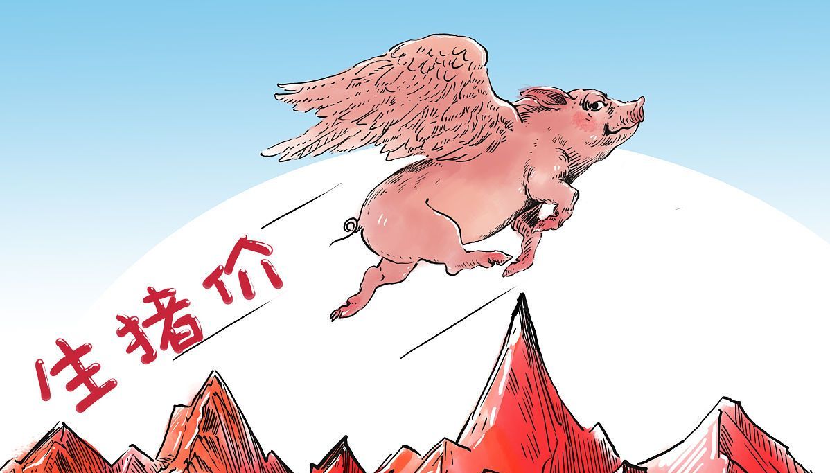 猪价大涨不停歇,行情蹿上“8字头”,还能涨多久?看完有数了!休闲区蓝鸢梦想 - Www.slyday.coM 猪价大涨不停歇,行情蹿上“8字头”,还能涨多久?看完有数了!休闲区蓝鸢梦想 - Www.slyday.coM