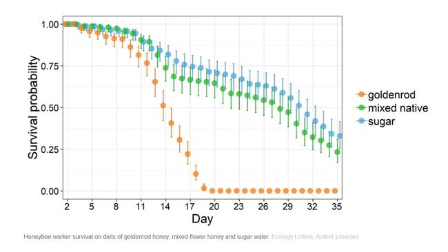 危害不输水葫芦！<a href=