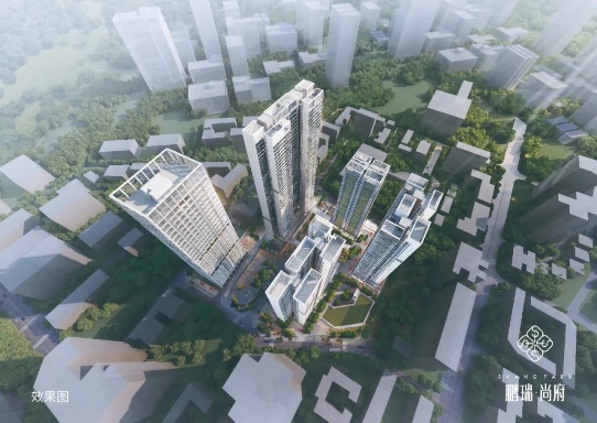 鹏景科技,鹏景科技有限公司