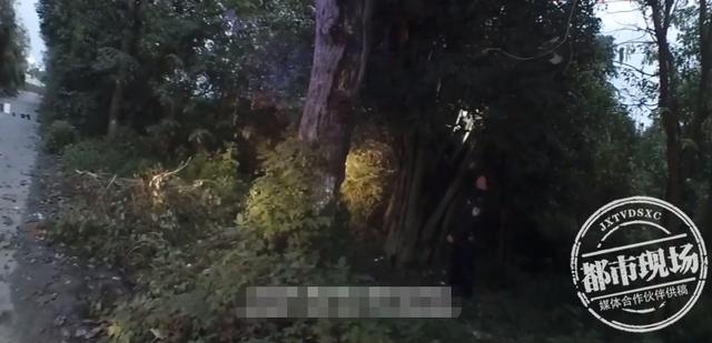 怕挨骂?四川两少年离家出走,在树上搭“窝”待了两天两夜休闲区蓝鸢梦想 - Www.slyday.coM 怕挨骂?四川两少年离家出走,在树上搭“窝”待了两天两夜休闲区蓝鸢梦想 - Www.slyday.coM