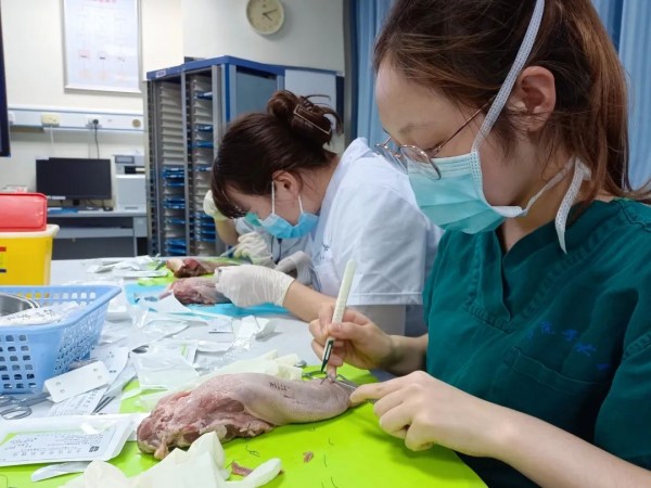 神仙友谊!同寝室六姐妹集体保研休闲区蓝鸢梦想 - Www.slyday.coM 神仙友谊!同寝室六姐妹集体保研休闲区蓝鸢梦想 - Www.slyday.coM