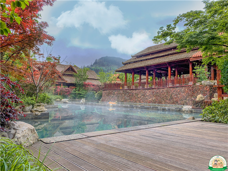 特色田园乡村桃源村,开启蜜橘采摘温泉度假冬旅模式!