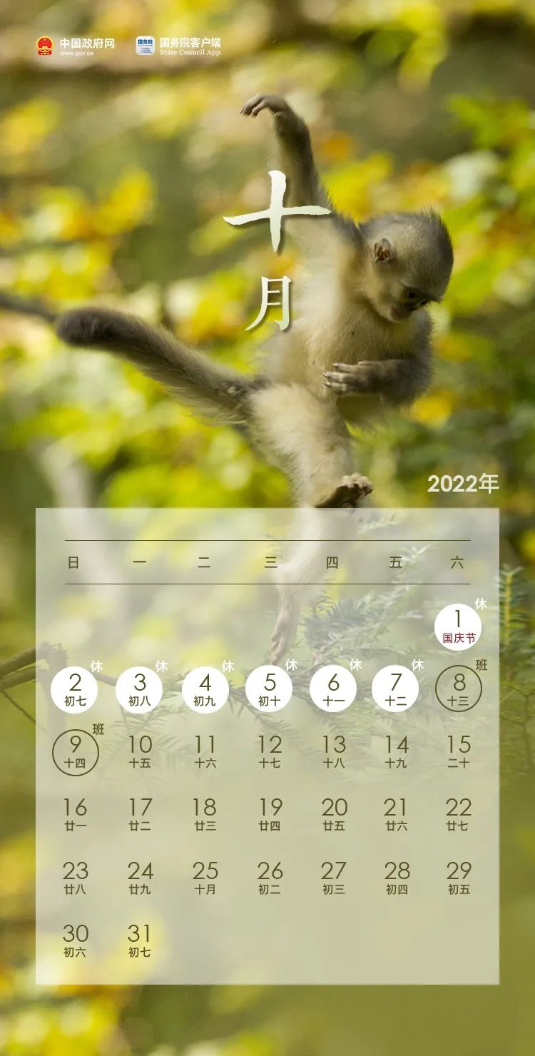 2022休闲区蓝鸢梦想 - Www.slyday.coM 2022休闲区蓝鸢梦想 - Www.slyday.coM