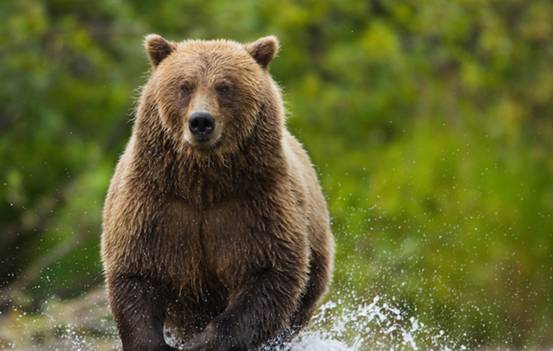 不愧是“战斗民族”，<a href=