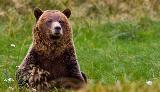 不愧是“战斗民族”，<a href=