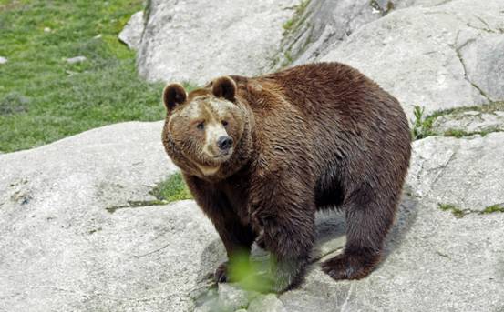 不愧是“战斗民族”，<a href=