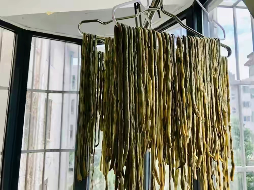 晒干豆角,牢记别直接晒,80岁老奶奶教您一招,放一年也不坏 晒干豆角,牢记别直接晒,80岁老奶奶教您一招,放一年也不坏