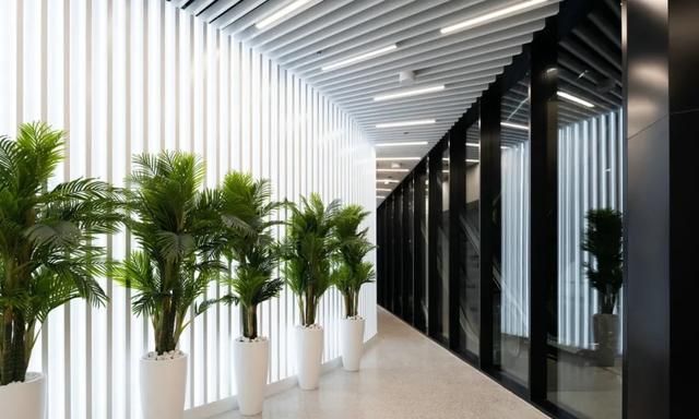 2020年迪拜世博会<a href=