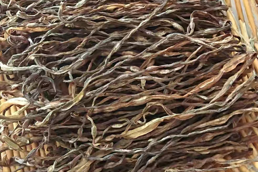 晒干豆角,牢记别直接晒,80岁老奶奶教您一招,放一年也不坏 晒干豆角,牢记别直接晒,80岁老奶奶教您一招,放一年也不坏