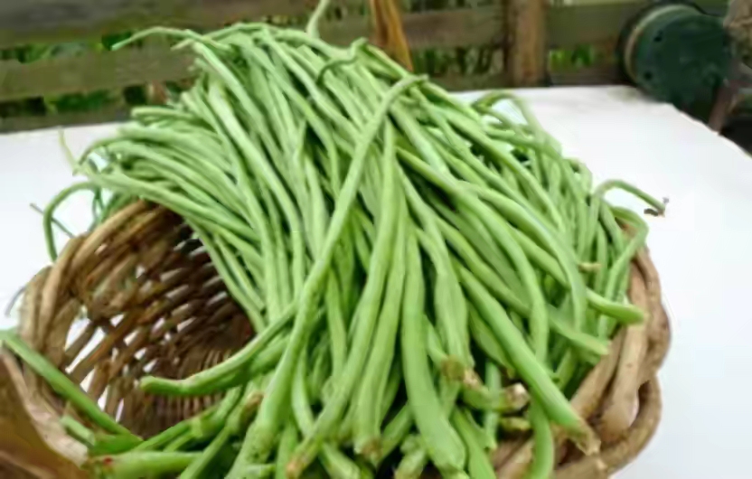 晒干豆角,牢记别直接晒,80岁老奶奶教您一招,放一年也不坏 晒干豆角,牢记别直接晒,80岁老奶奶教您一招,放一年也不坏