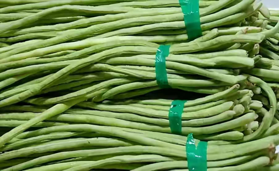 晒干豆角,牢记别直接晒,80岁老奶奶教您一招,放一年也不坏 晒干豆角,牢记别直接晒,80岁老奶奶教您一招,放一年也不坏