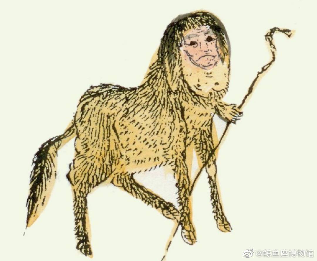 “人面鲤鱼”像人脸，为什么揭示了演化规律？...