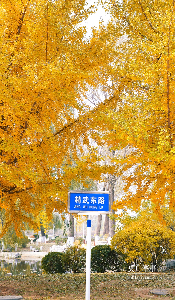 什么时候才算正式进入秋天 6977-9bff6e03fe5770f83bfce908b6491b67.jpg