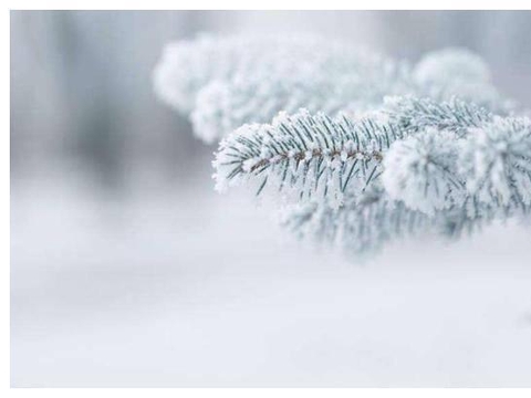 新能源汽车应该如何保养？这6个注意事项你必须知道！