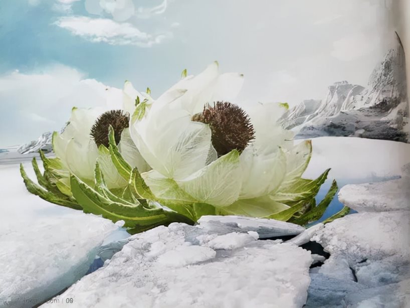 爱旅行爱美丽白珂兰即刻启程一起发现民族之美