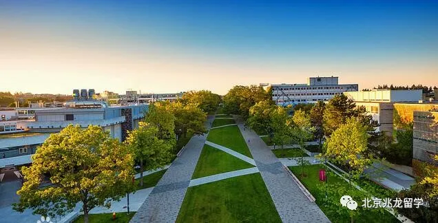 权威杂志《麦考林》：<a href=