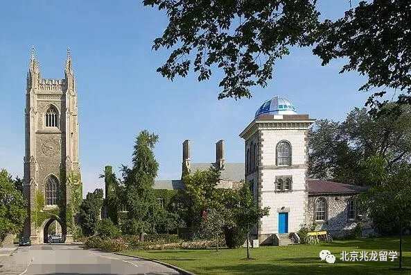 权威杂志《麦考林》：<a href=