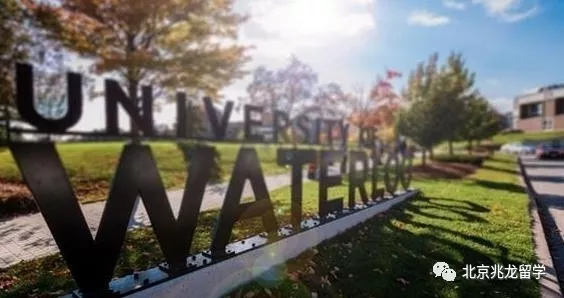 权威杂志《麦考林》：<a href=