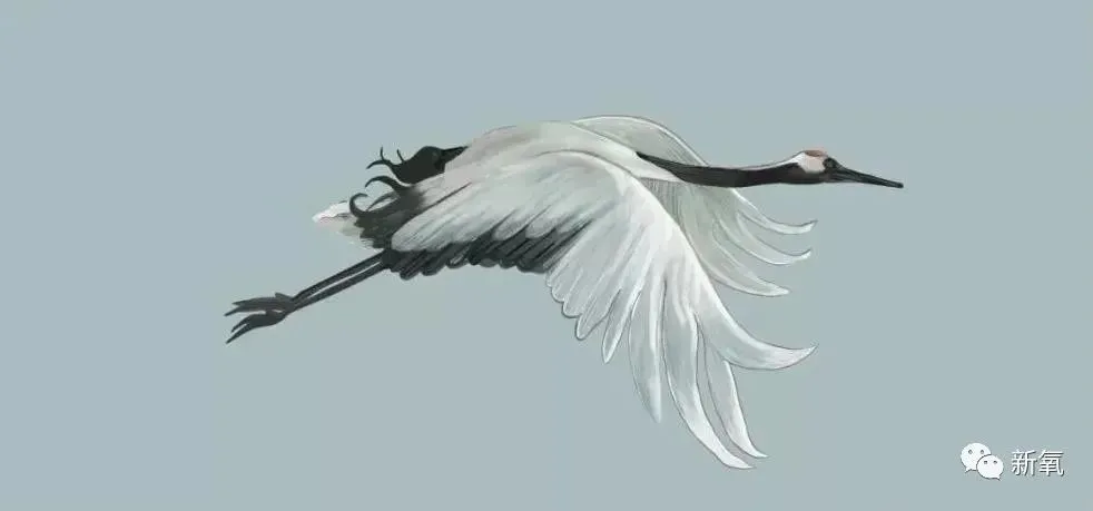 气死…这绝美仙鹤纹样怎么就成<a href=