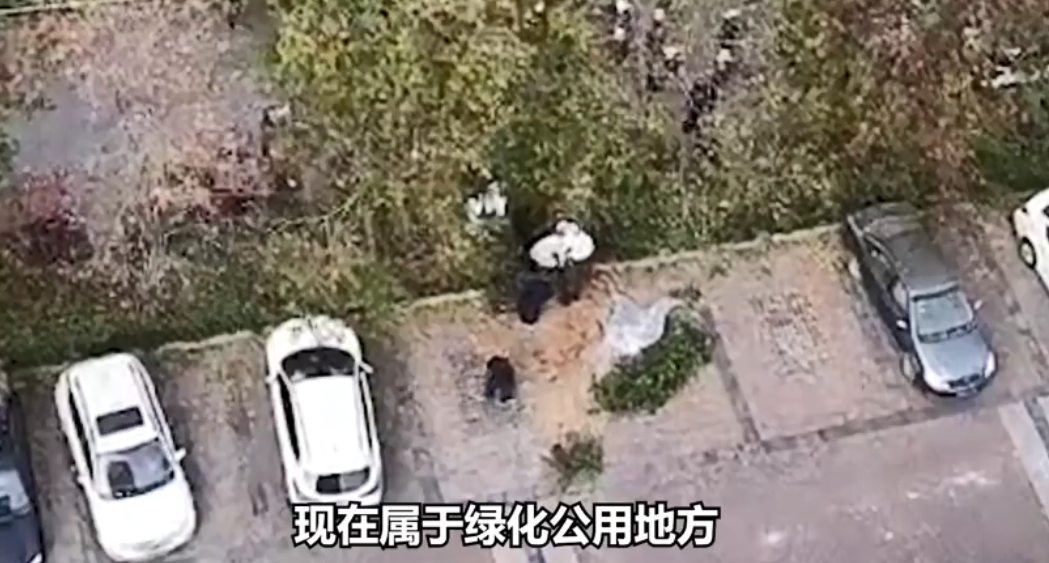 河南男子小区门口葬母物业回应:情况属实 联合业主向政府反映暂未回复 男子小区门口葬母引热议休闲区蓝鸢梦想 - Www.slyday.coM 河南男子小区门口葬母物业回应:情况属实 联合业主向政府反映暂未回复 男子小区门口葬母引热议休闲区蓝鸢梦想 - Www.slyday.coM