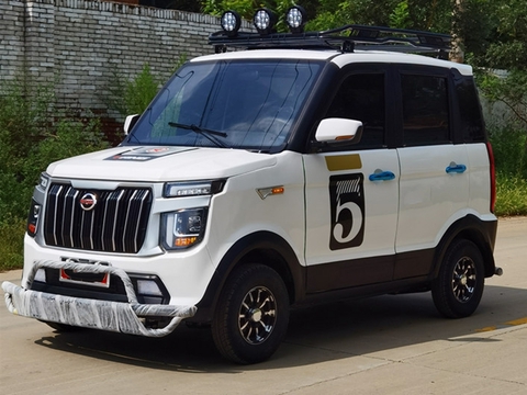 买三轮乘用车、低速电动车，什么时候价格最低？选择这4个时间点