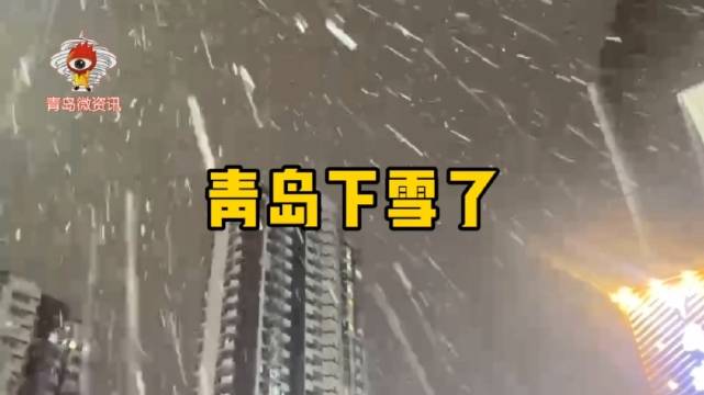 终于等到你——2021年冬天青岛的第一场雪_新浪新闻