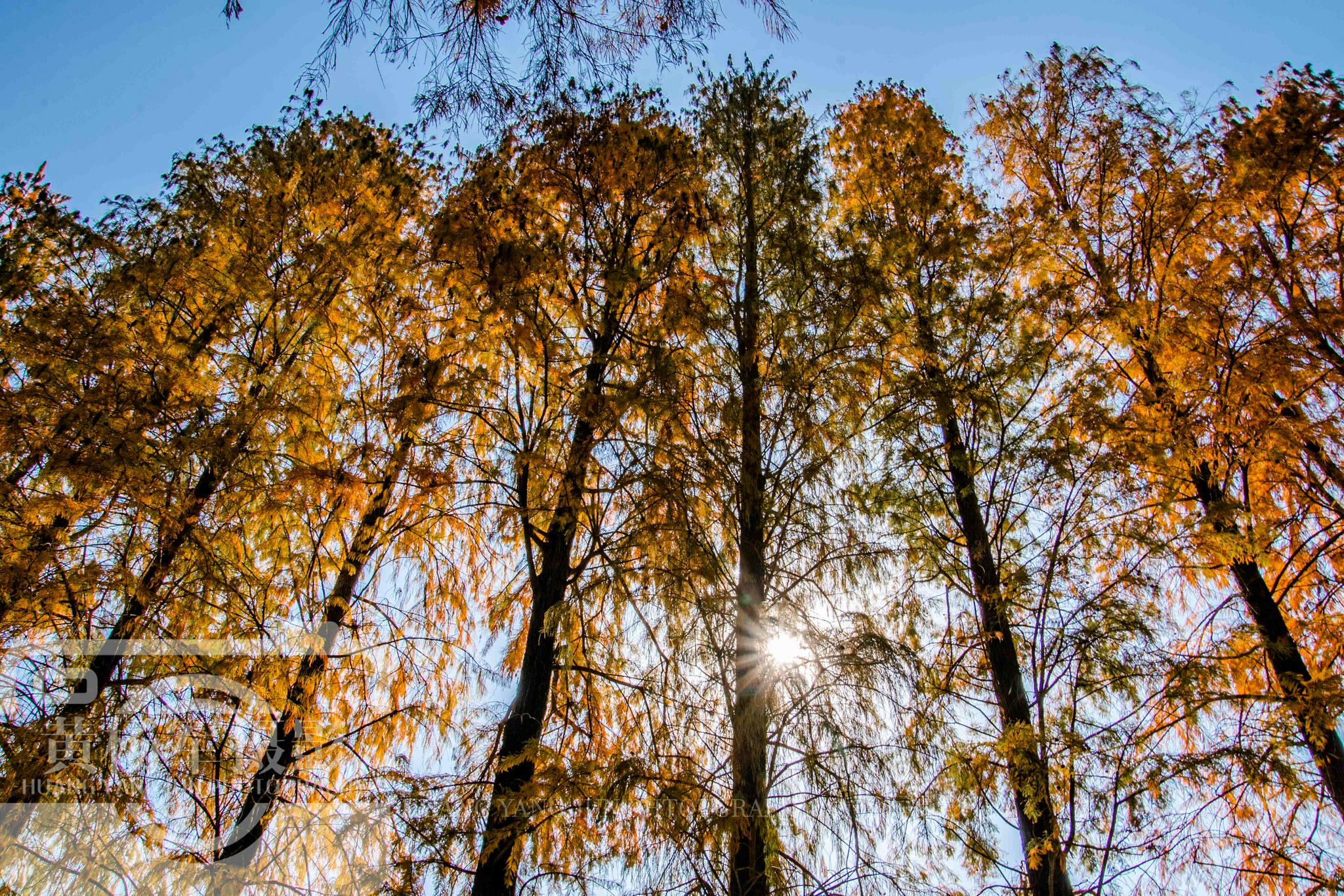 中国最低调的山区小城，与<a href=