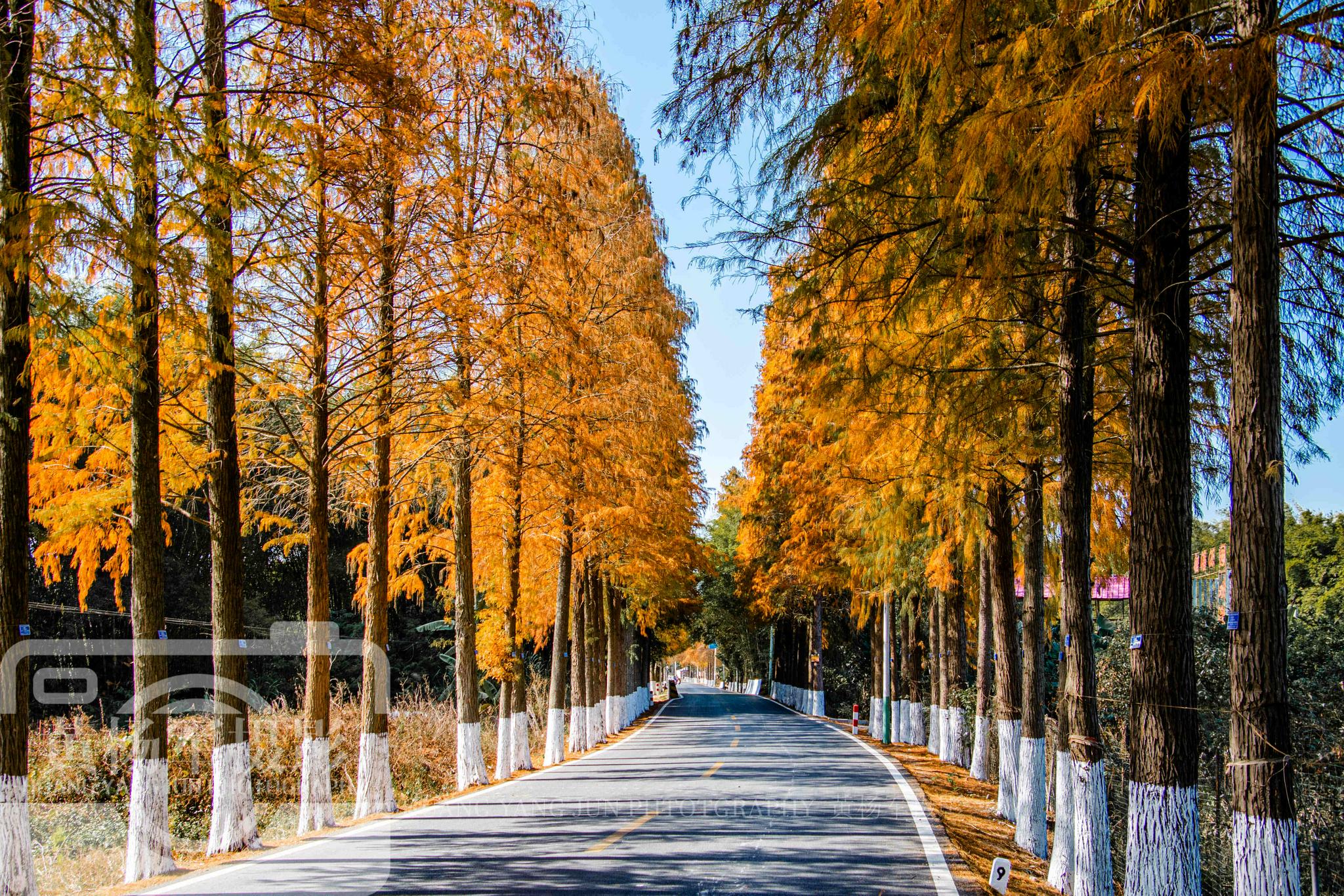 中国最低调的山区小城，与<a href=